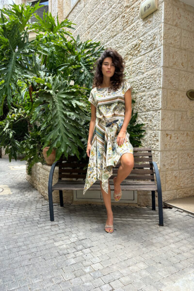 אסף פלג